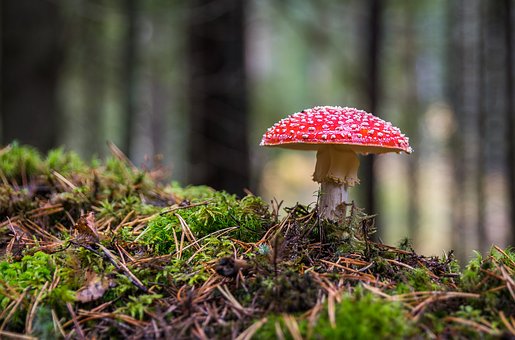 靈活用工平臺(tái)：工廠普工外包不失為一項(xiàng)明智的選擇