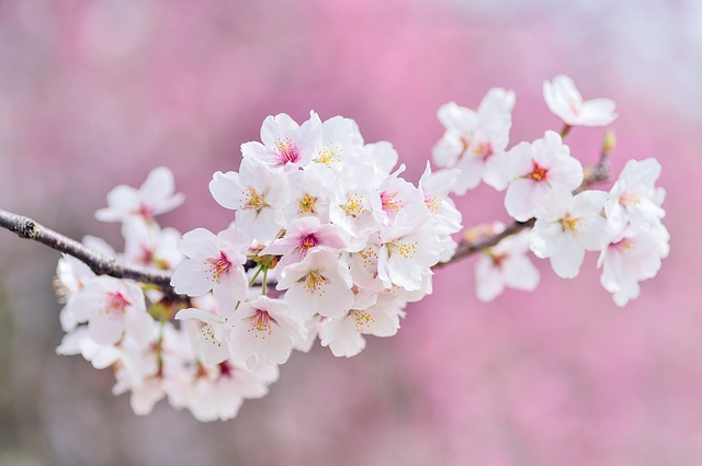 靈活用工平臺(tái)：勞務(wù)派遣的時(shí)間期限是多少?
